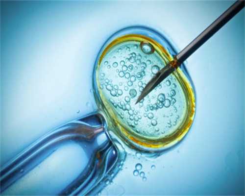 影响借卵生子试管成功率的因素是什么