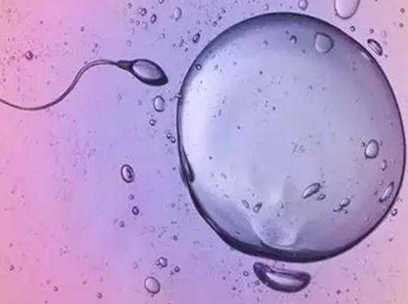 湖南长沙正规助孕机构有哪些？地下生殖中心供卵可靠吗？